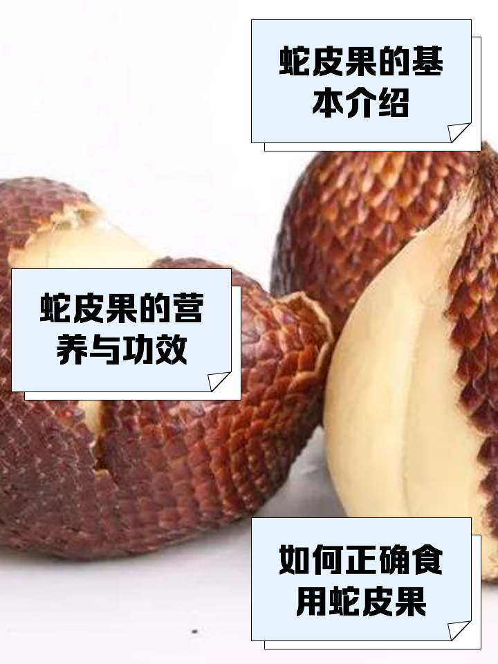 蛇皮果的营养价值和食用技巧_新鲜水果