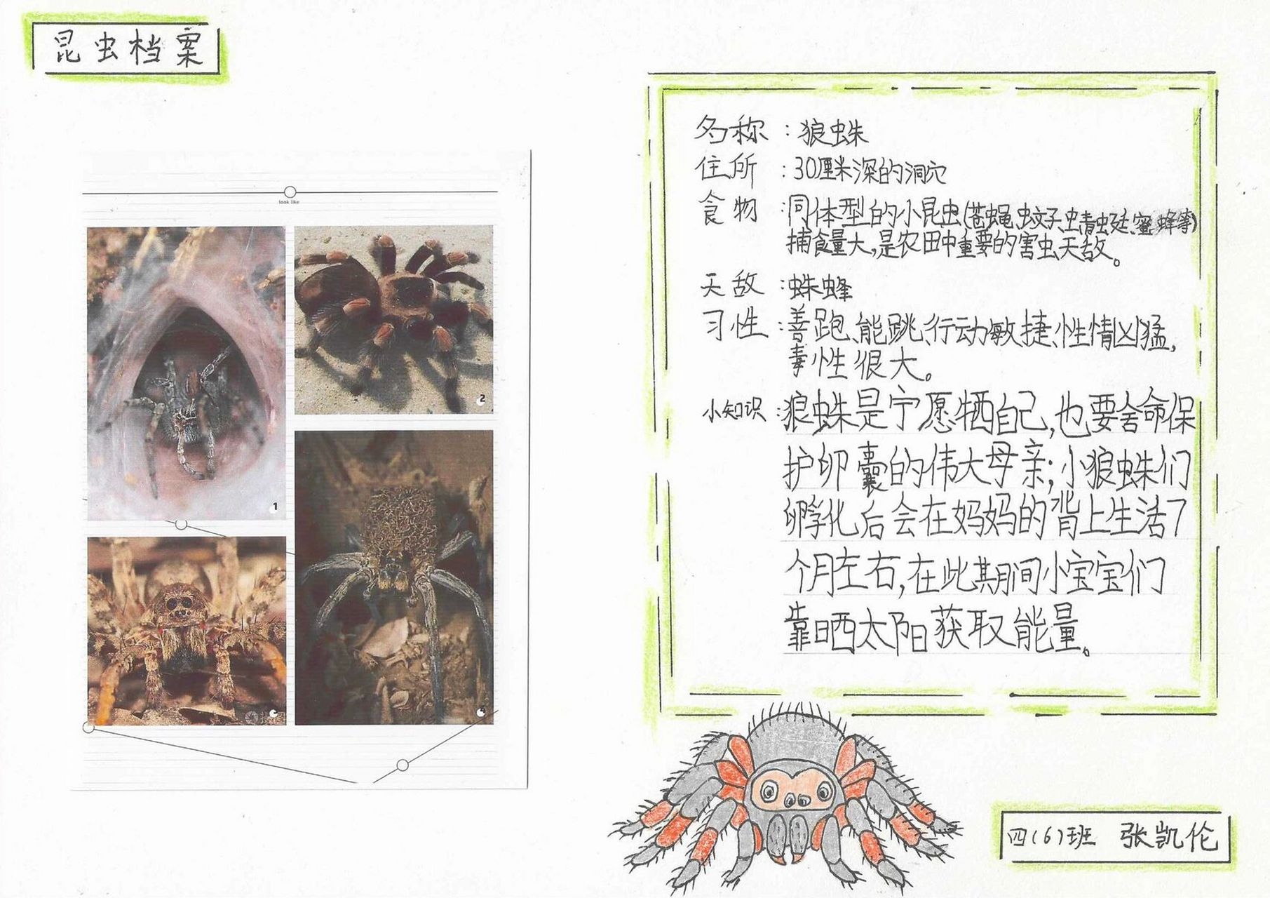 以鹤轩