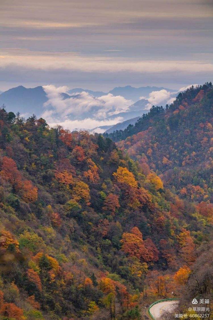 陕西紫柏山:翠绿仙境中的宁静避暑胜地