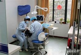 【展艺口碑】展艺评价_怎么样_好不好