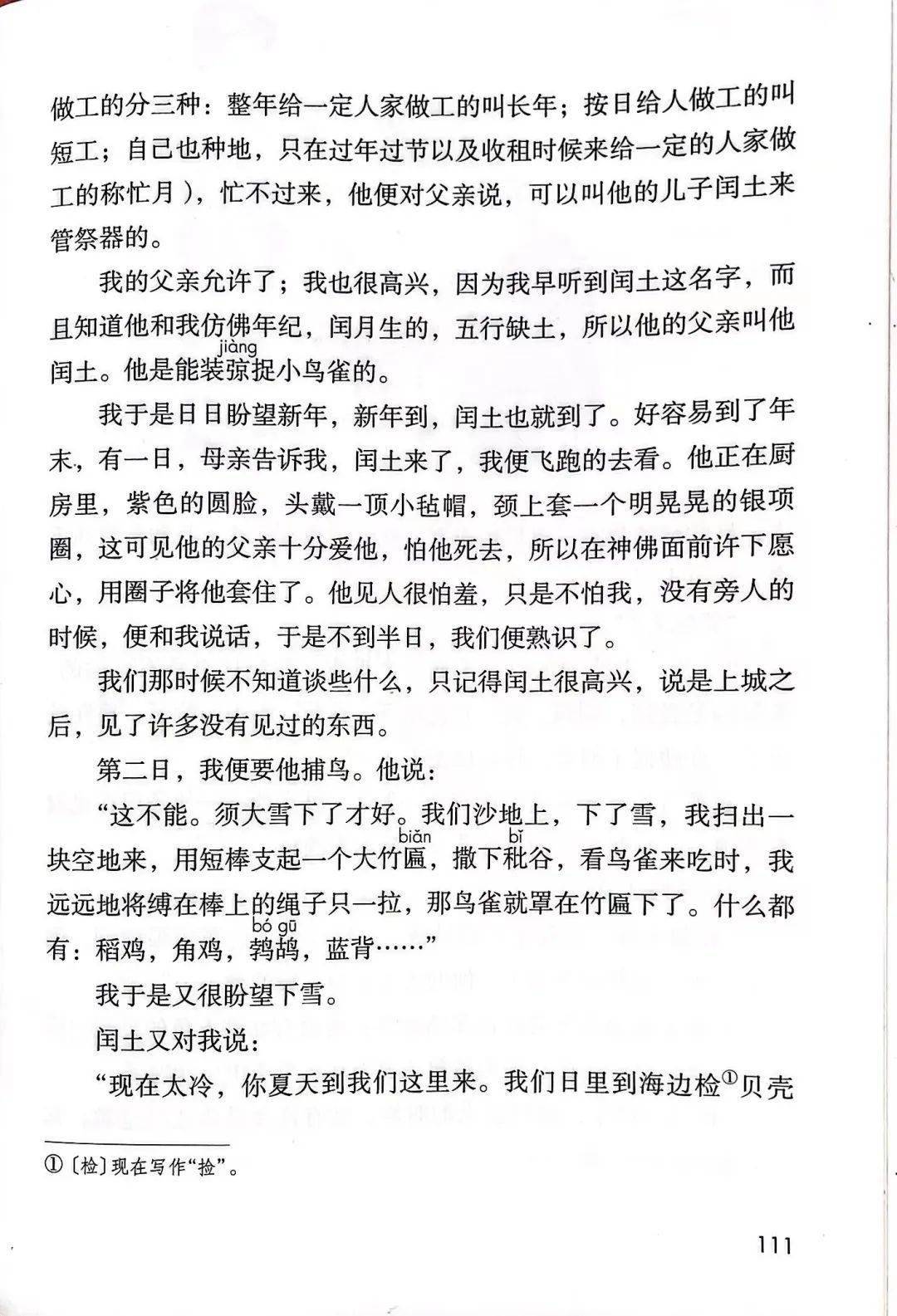鲁迅笔下的故乡,究竟有多美?_小说