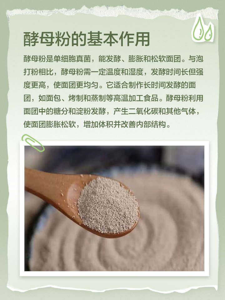 酵母粉是什么东西?酵母粉是干什么用的
