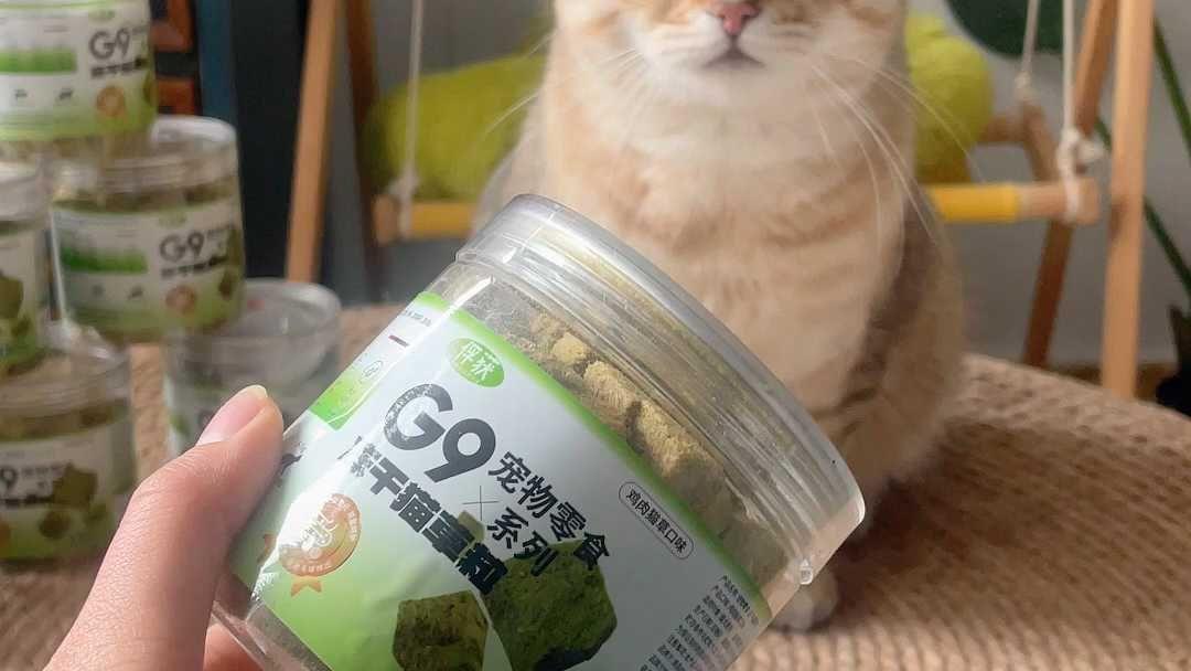 猫草罐头助力猫咪消化_其他宠物营养品
