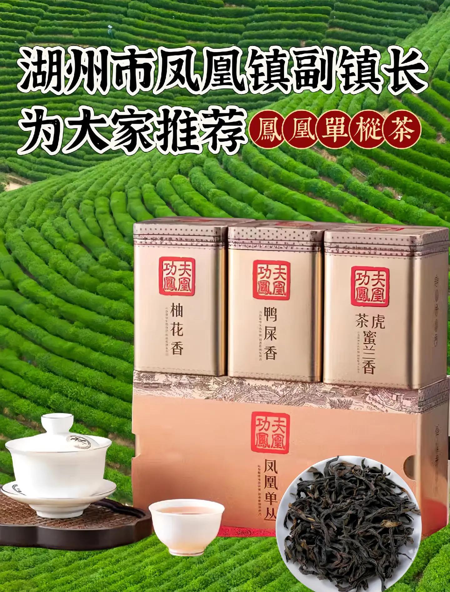 【茶叶测评】凤凰单丛老仙翁_乌龙茶
