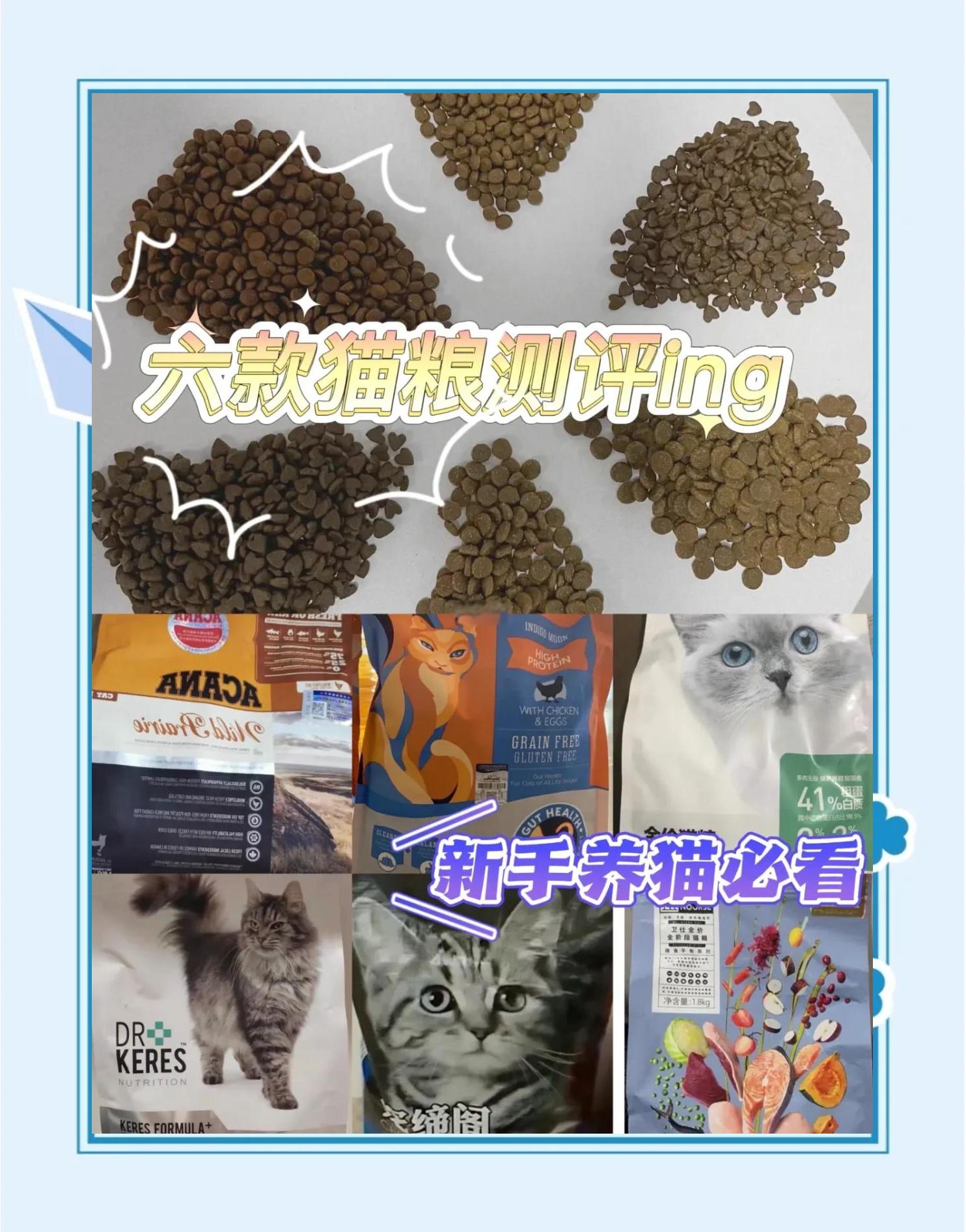 9款猫粮推荐,总有一款适合你的猫咪!