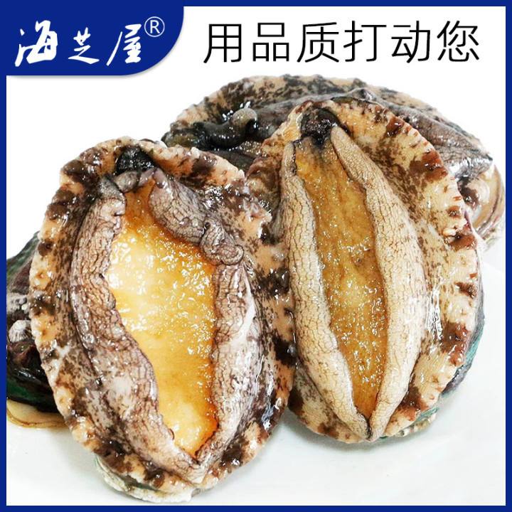 新鲜熟冻大鲍鱼:锁住鲜美的秘密_贝类