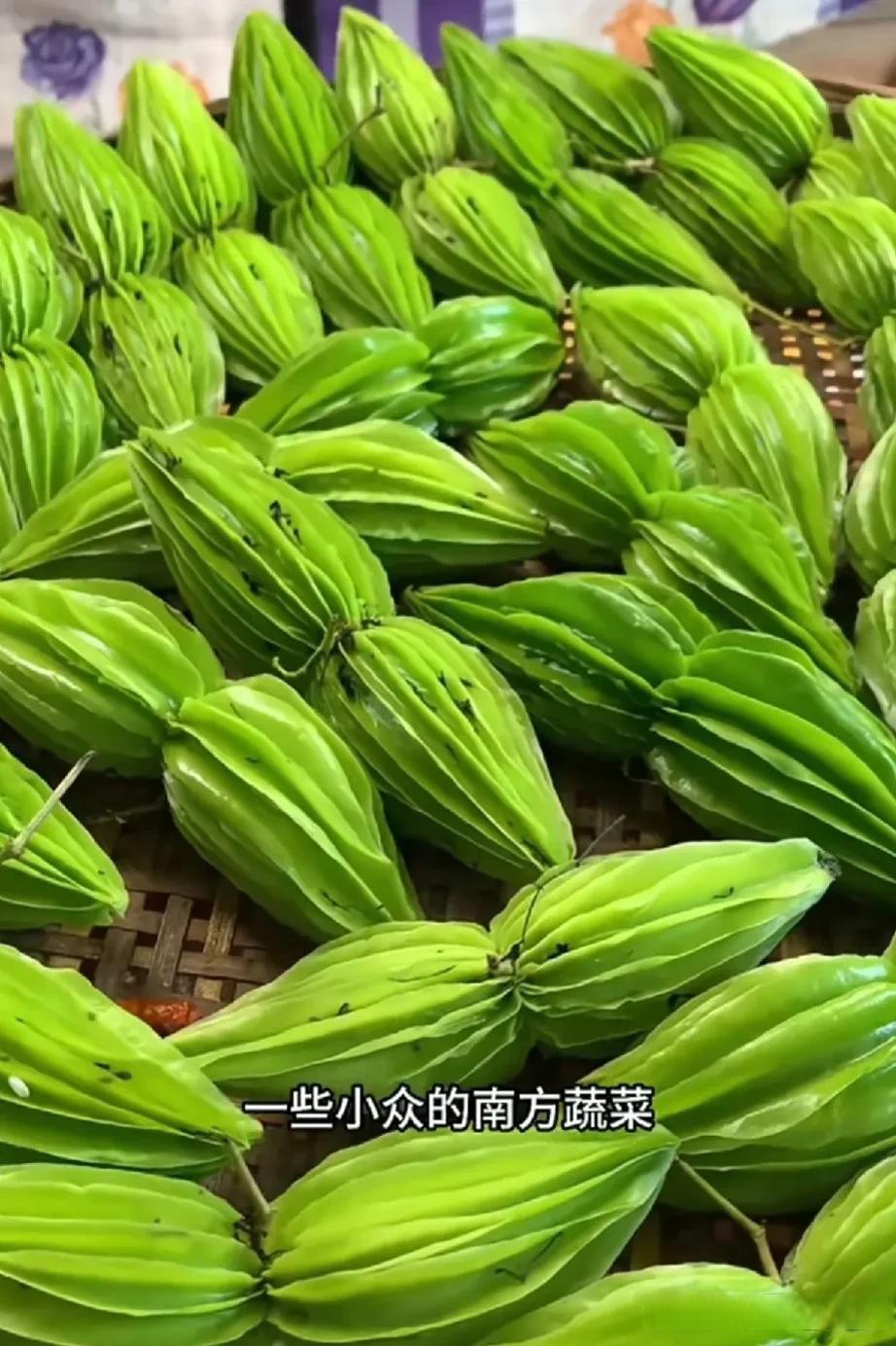 不懂就问:反季节蔬菜可以吃吗?_蔬菜