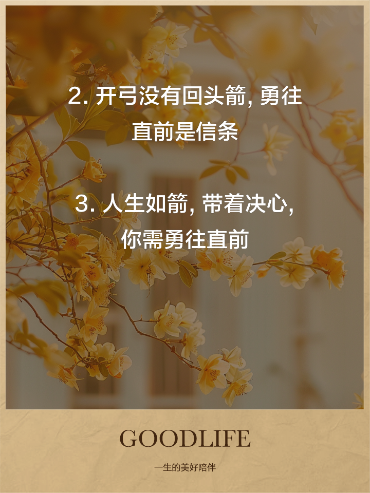 手机 第5页