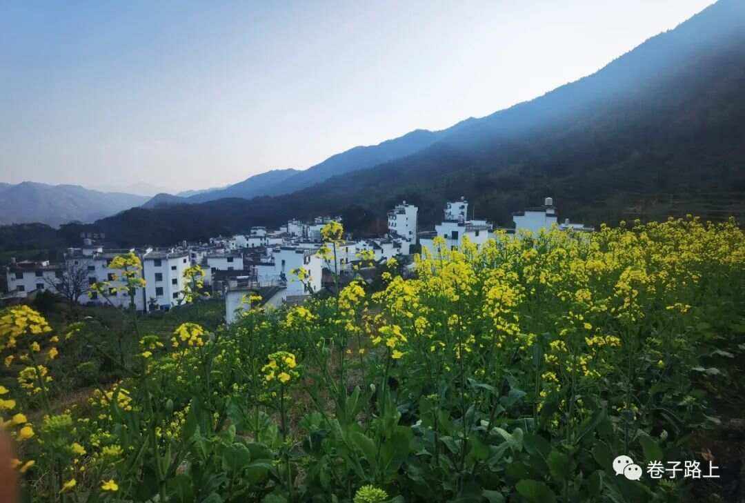 婺源三月,花路间的浪漫行旅_国内度假