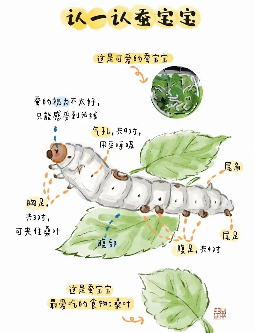 游戏 第2页