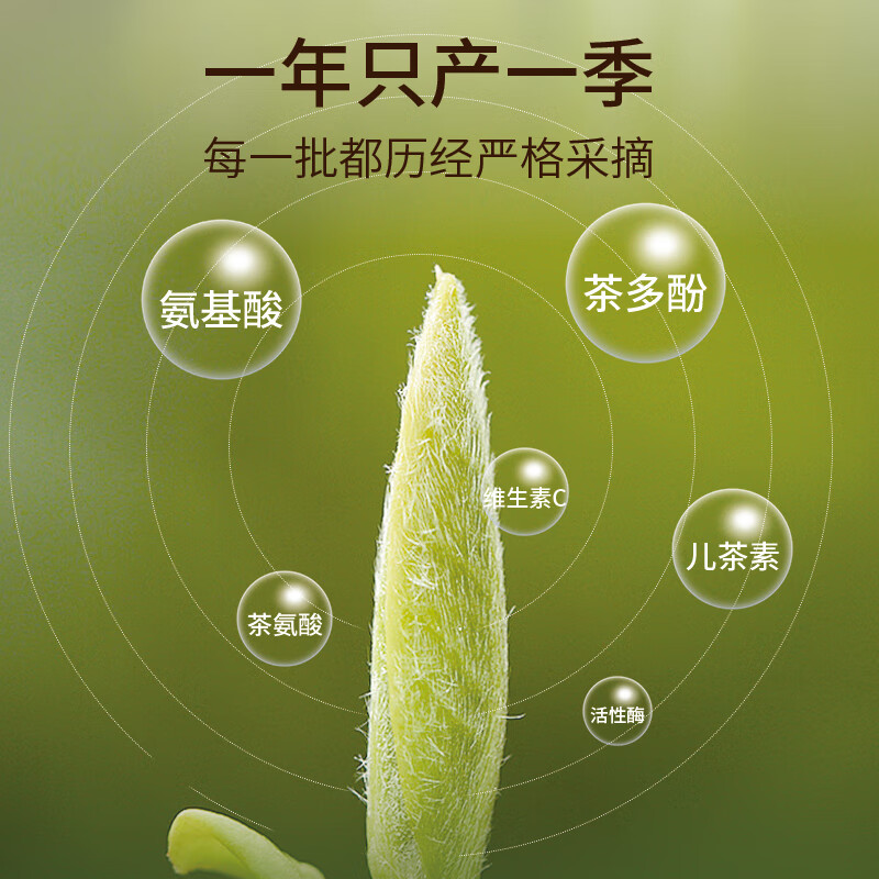 乌龙茶;轻火口粮_凤凰单丛绿宝大乌叶
