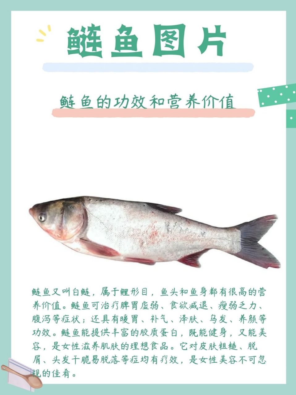 中润鱼白鲢鱼头,鲜美滋味挡不住_鱼类