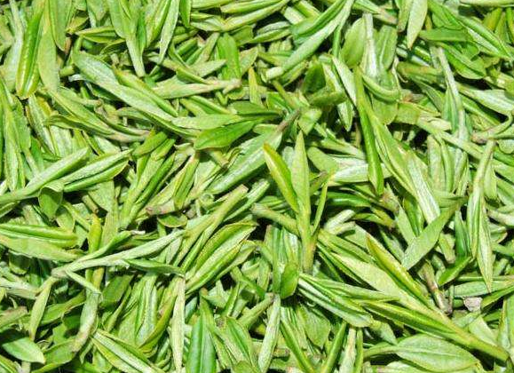 峨眉雪芽,让品茶成为一种享受!_绿茶