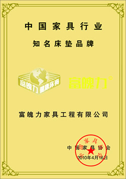 富魄力棕床垫怎么样?
