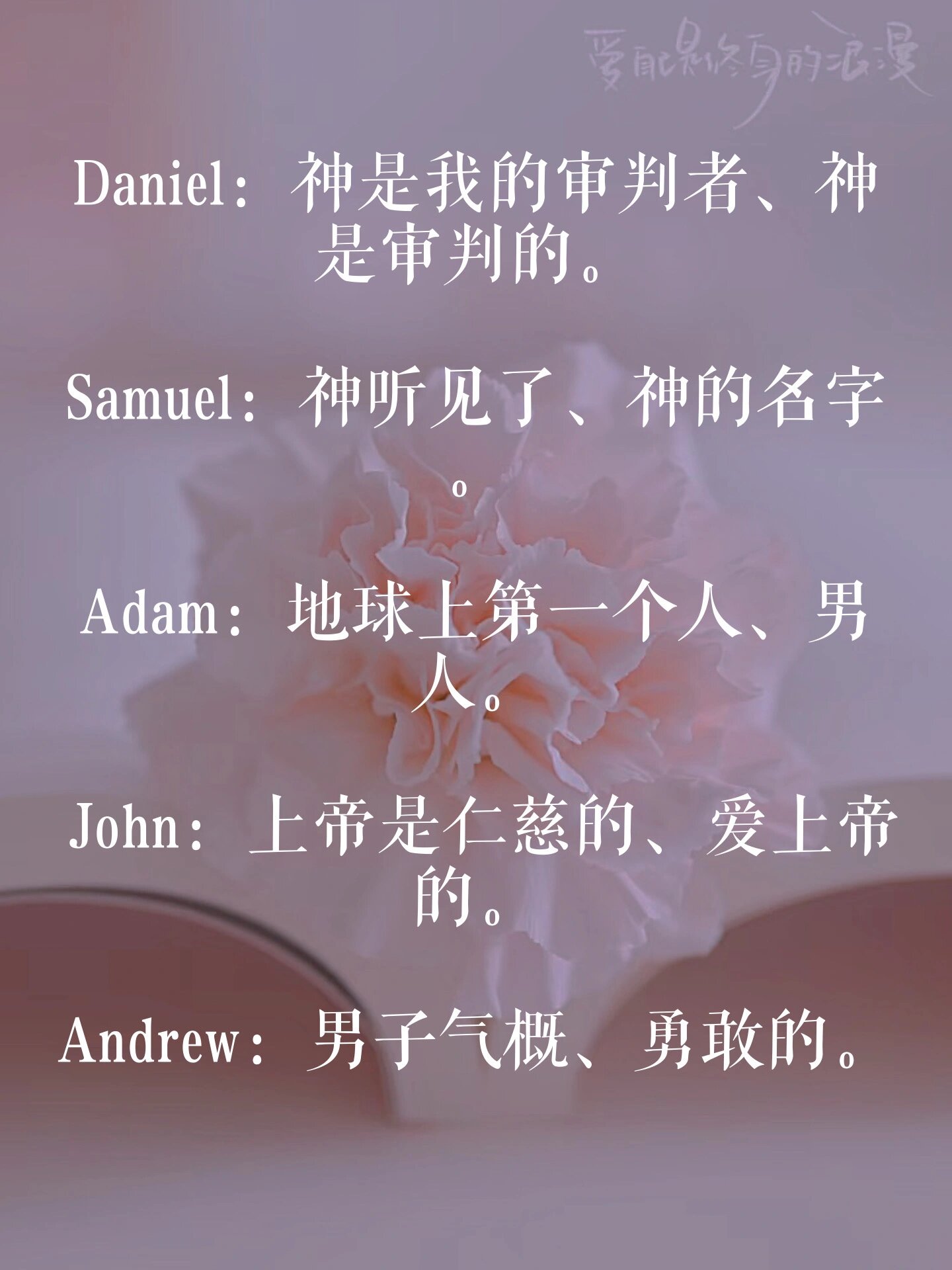 最火洋气抖音名字男英文带翻译Fiee(追寻)
