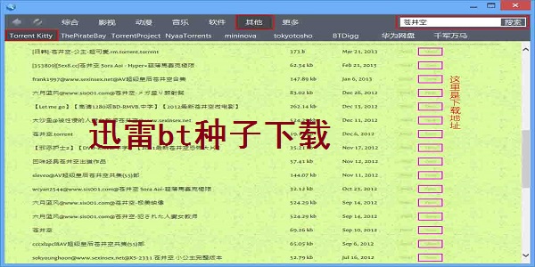 【最好用的BT种子搜索器】BT种子搜索器官方免费下载