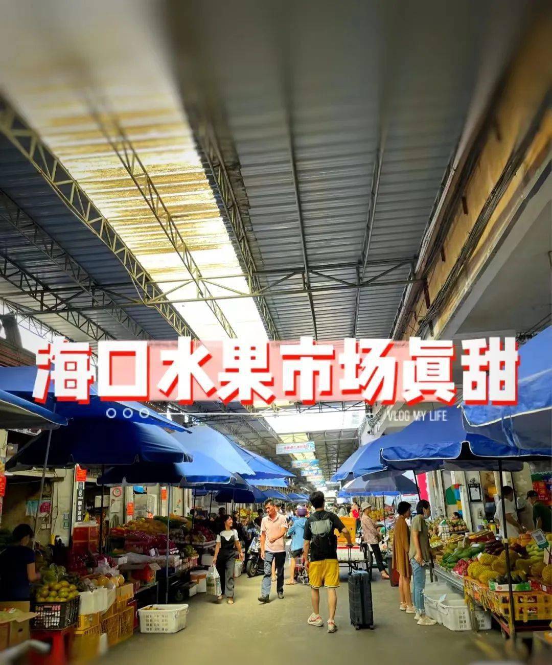 2025年5月30日 第42页