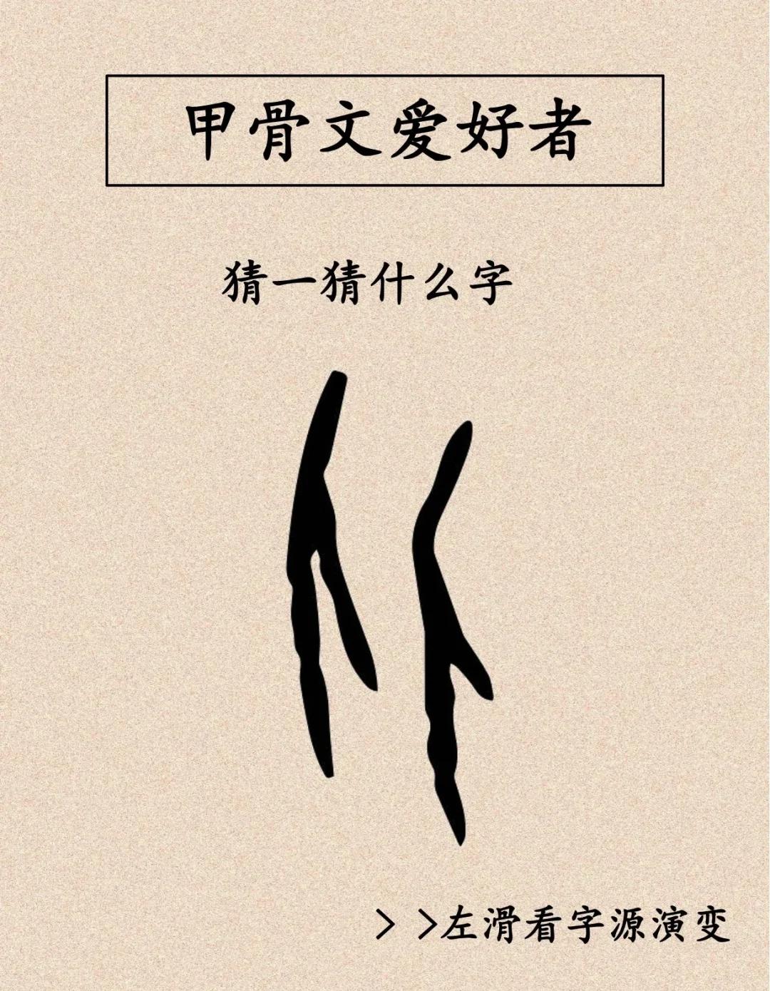 【甲骨文转换器怎么用】甲骨文转换器好不好_使用技巧