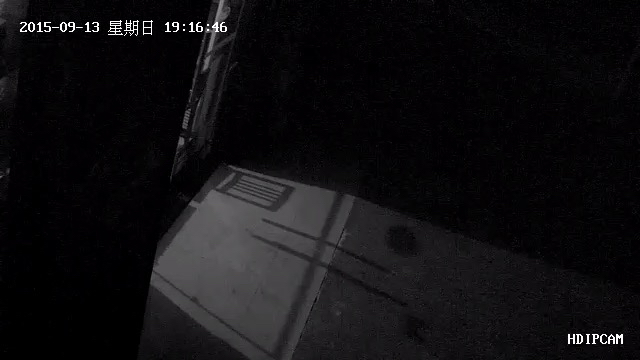 中维c801数字监控系统摄像头不显示图像怎么回事