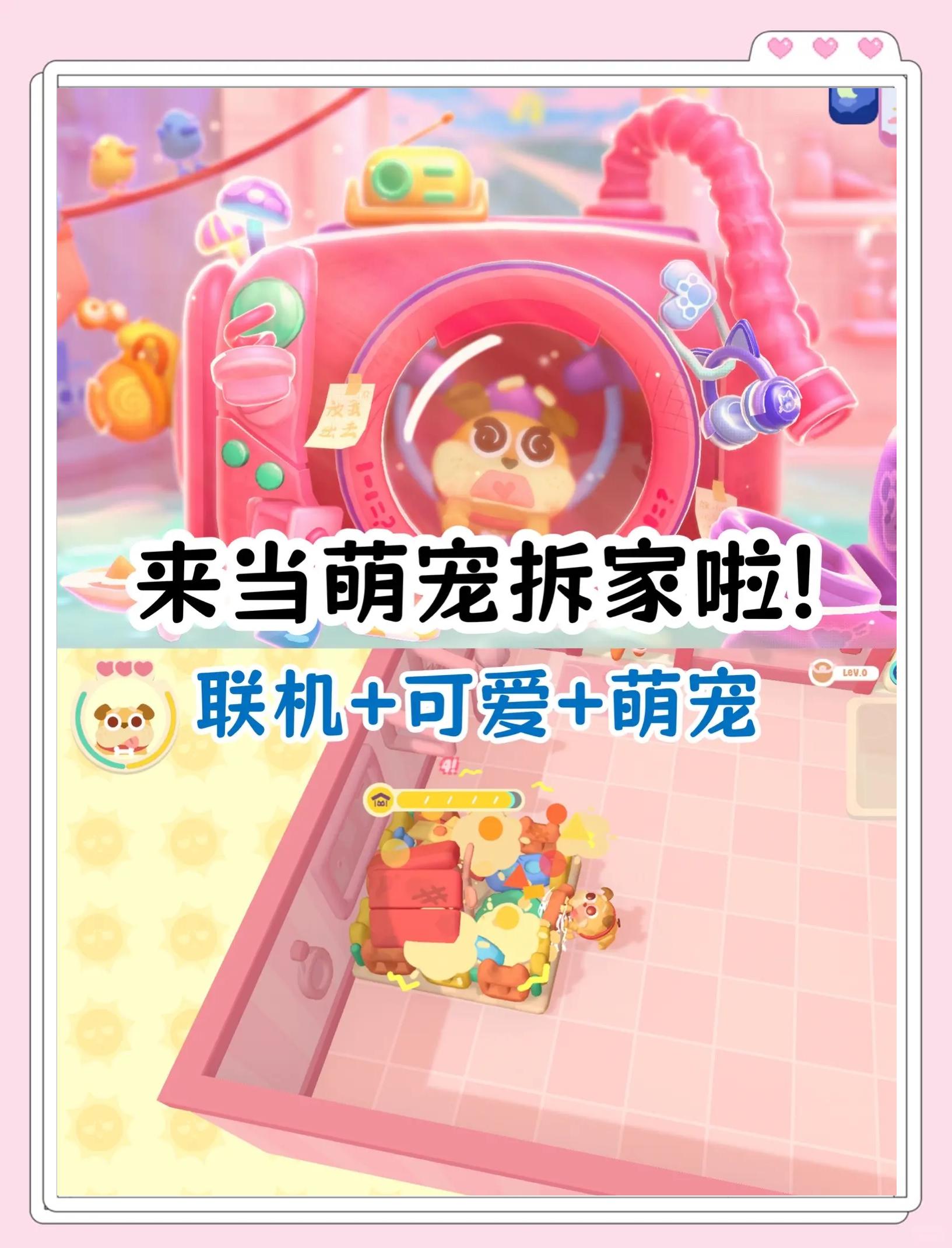 爱宠国在电脑上可以玩吗?从那可以进入爱宠国