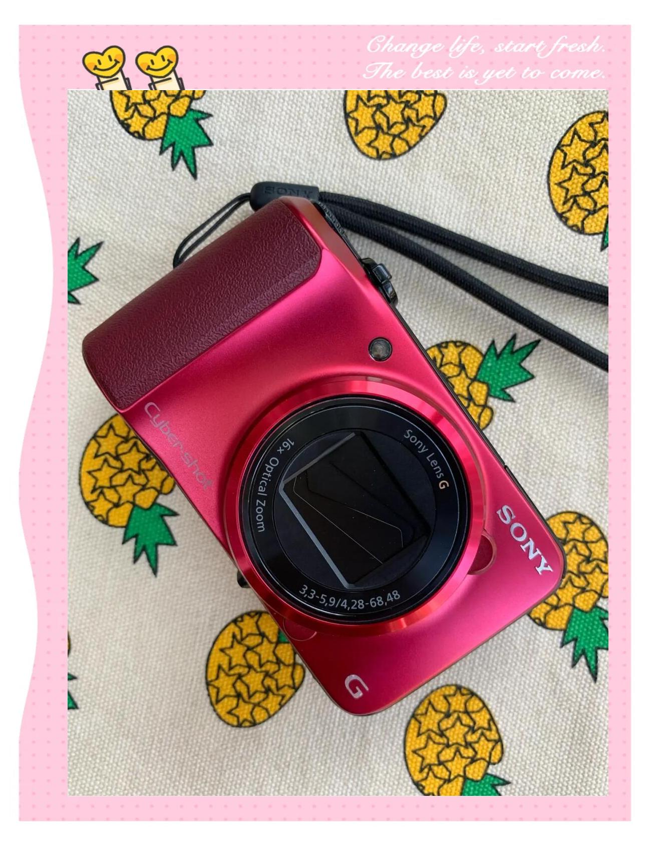 索尼(SONY)J10数码相机微距样张评测