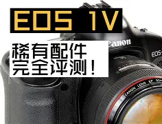 2025年6月15日 第55页