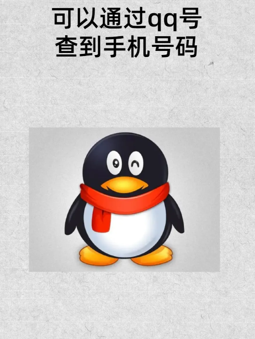 qq捏一捏怎么打开qq打开捏一捏的操作步骤-软件技巧