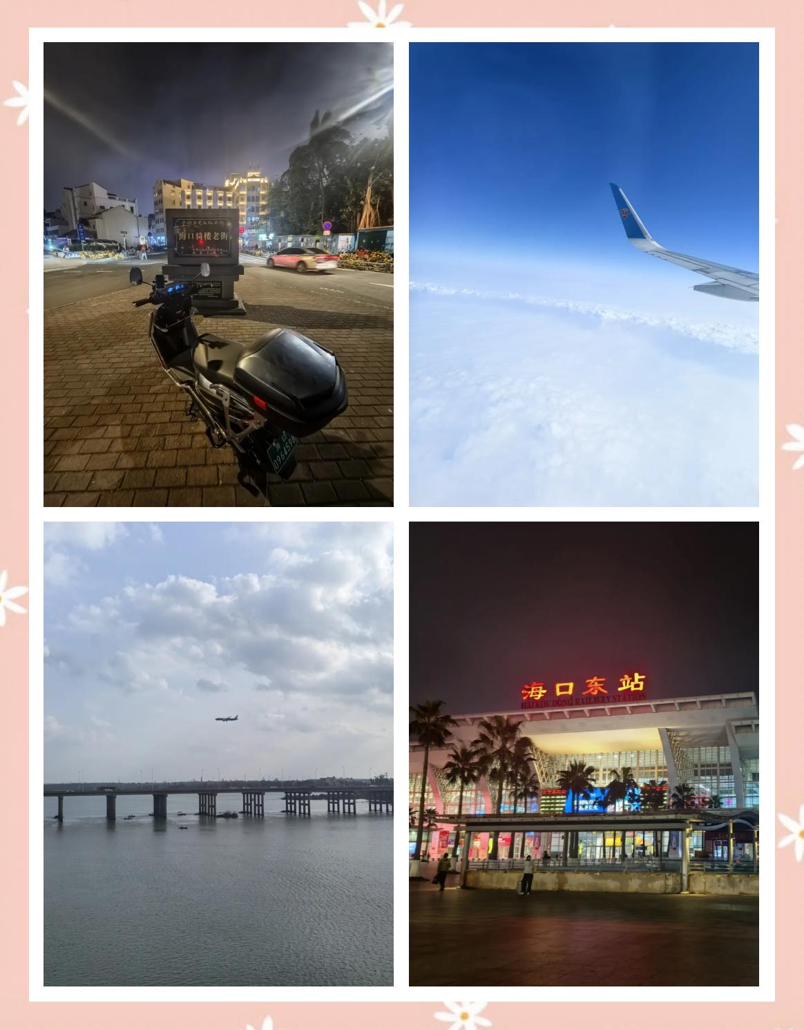 2024夏海南环岛行(173)雷州白斩狗摄影论坛