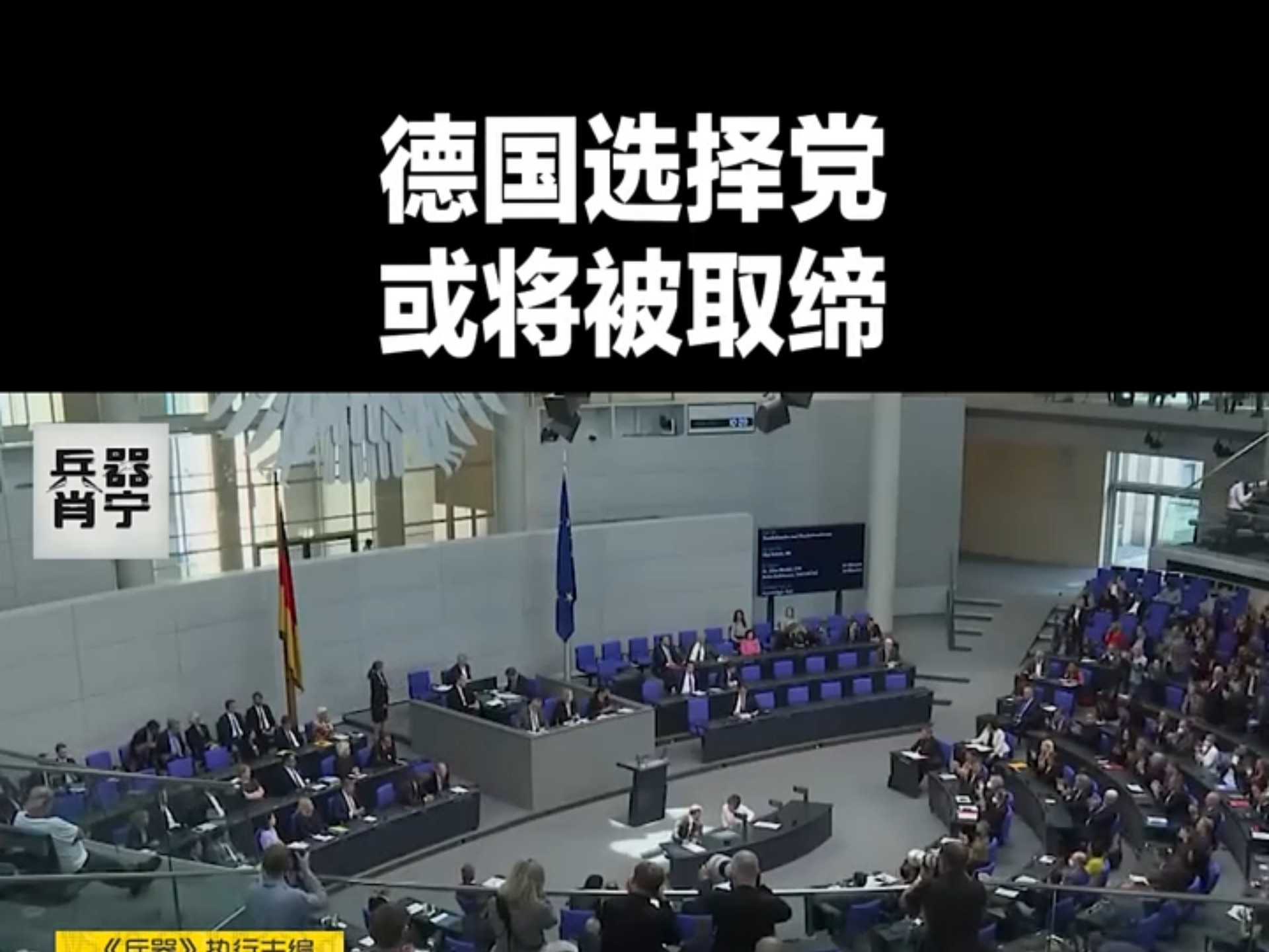 德国新政党BSW的成立目的和当前争议是什么?