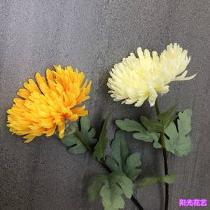 请问鑫字用白话,就是粤语肿么读呢,还有雏菊的雏字