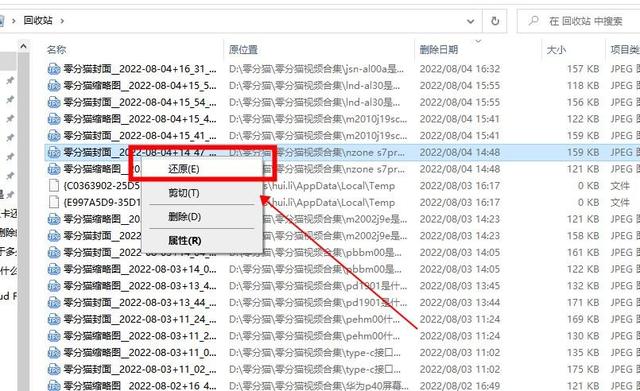 不小心从文件管理删掉了照片怎么处理?还能恢复吗?