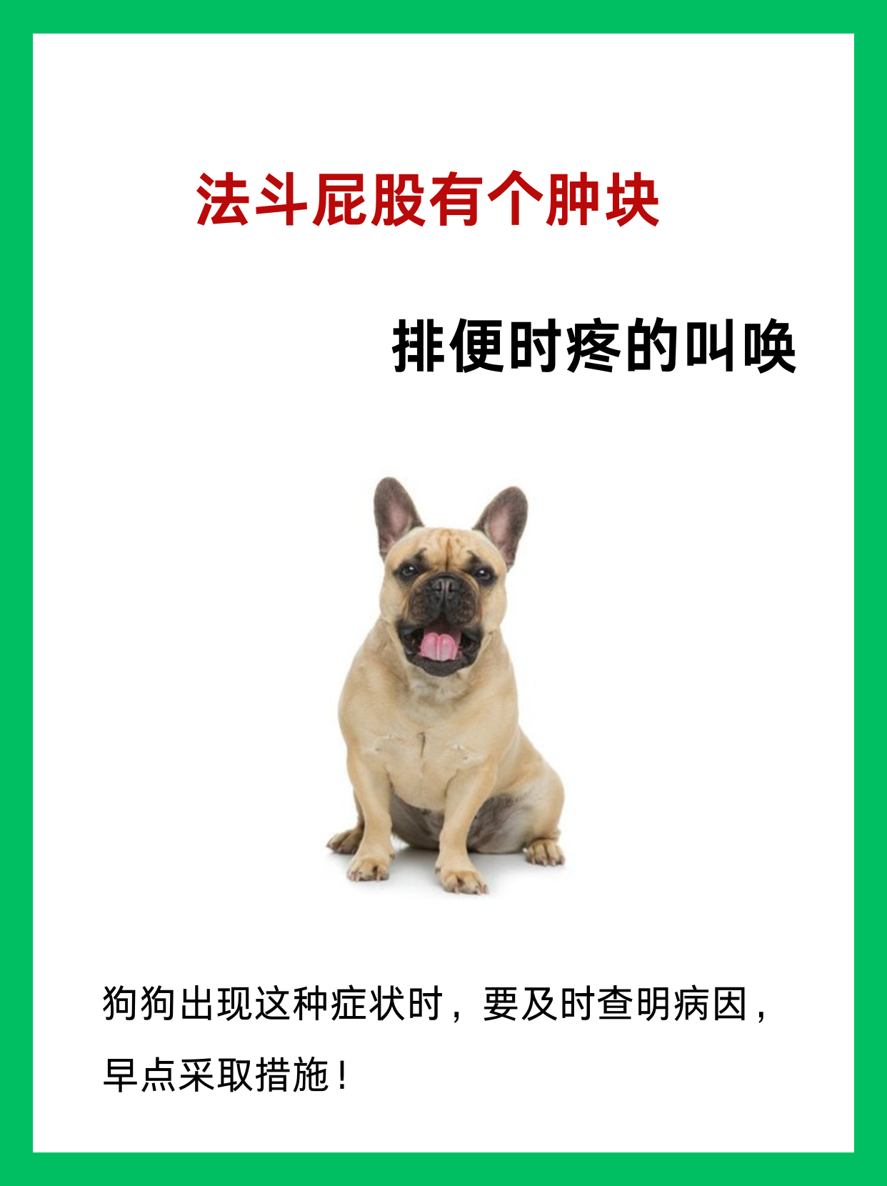 【高清图】屁屁狗(ppgou)最新版下载使用教程图1