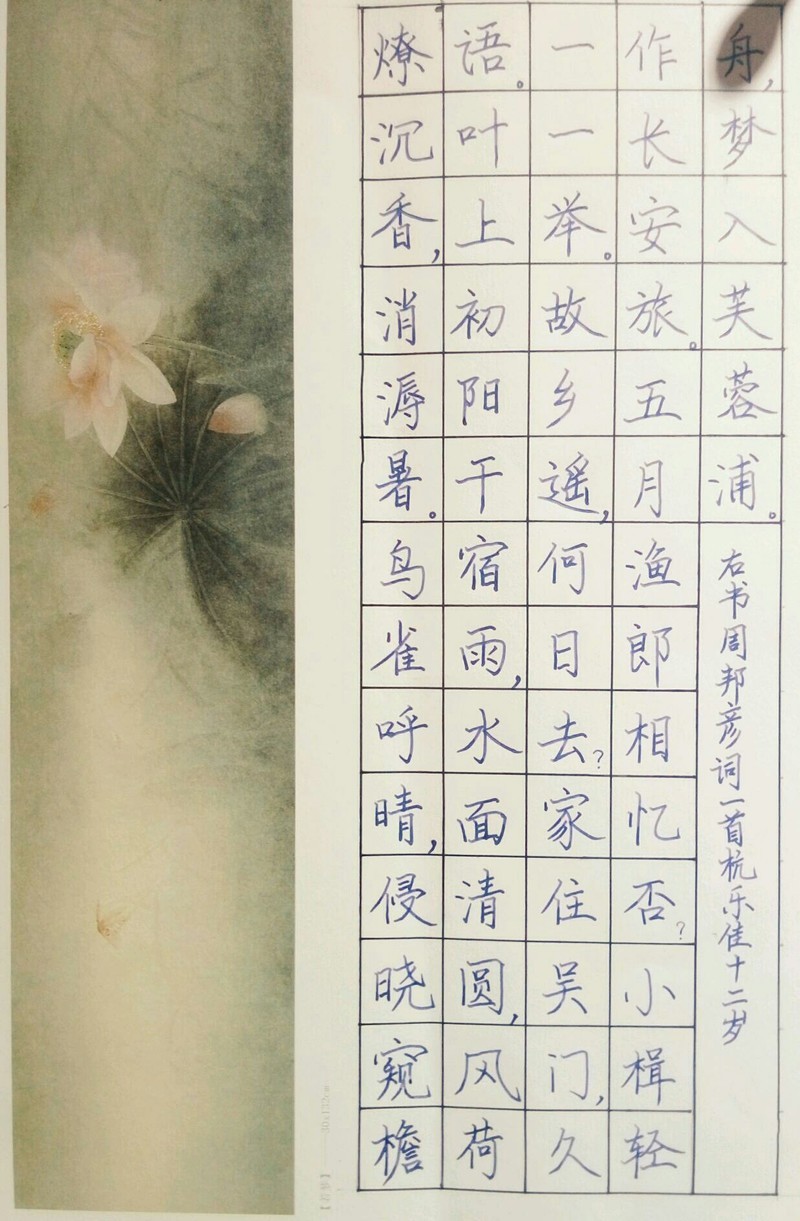 【风致官网介绍】风致手机车载配件风致(中国)公司简介