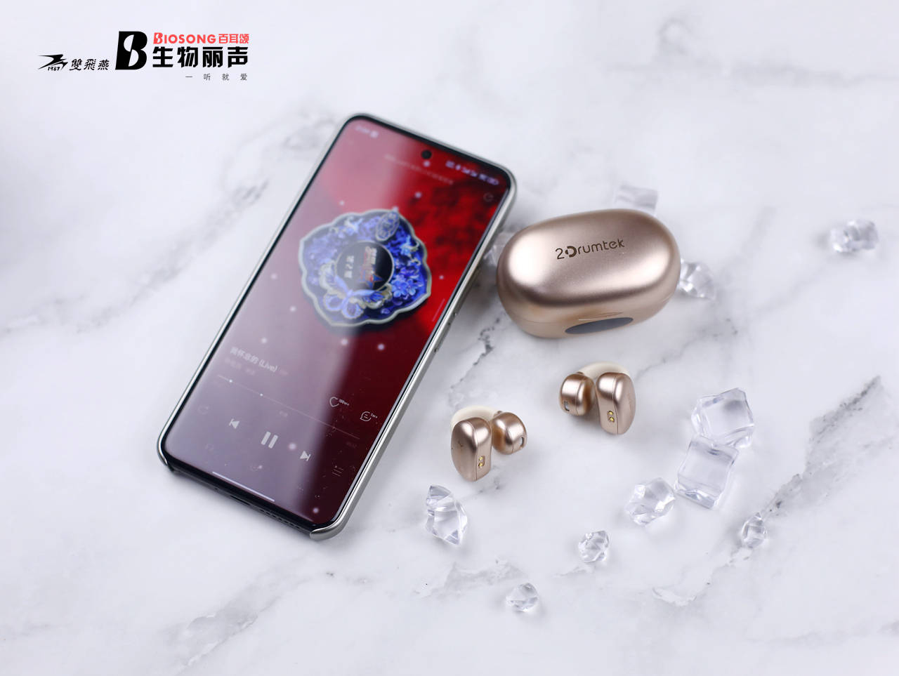 【丽声官网介绍】丽声耳机丽声(中国)公司简介