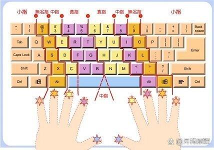 打字时打不出来P?别的都能打出来为什么啊???