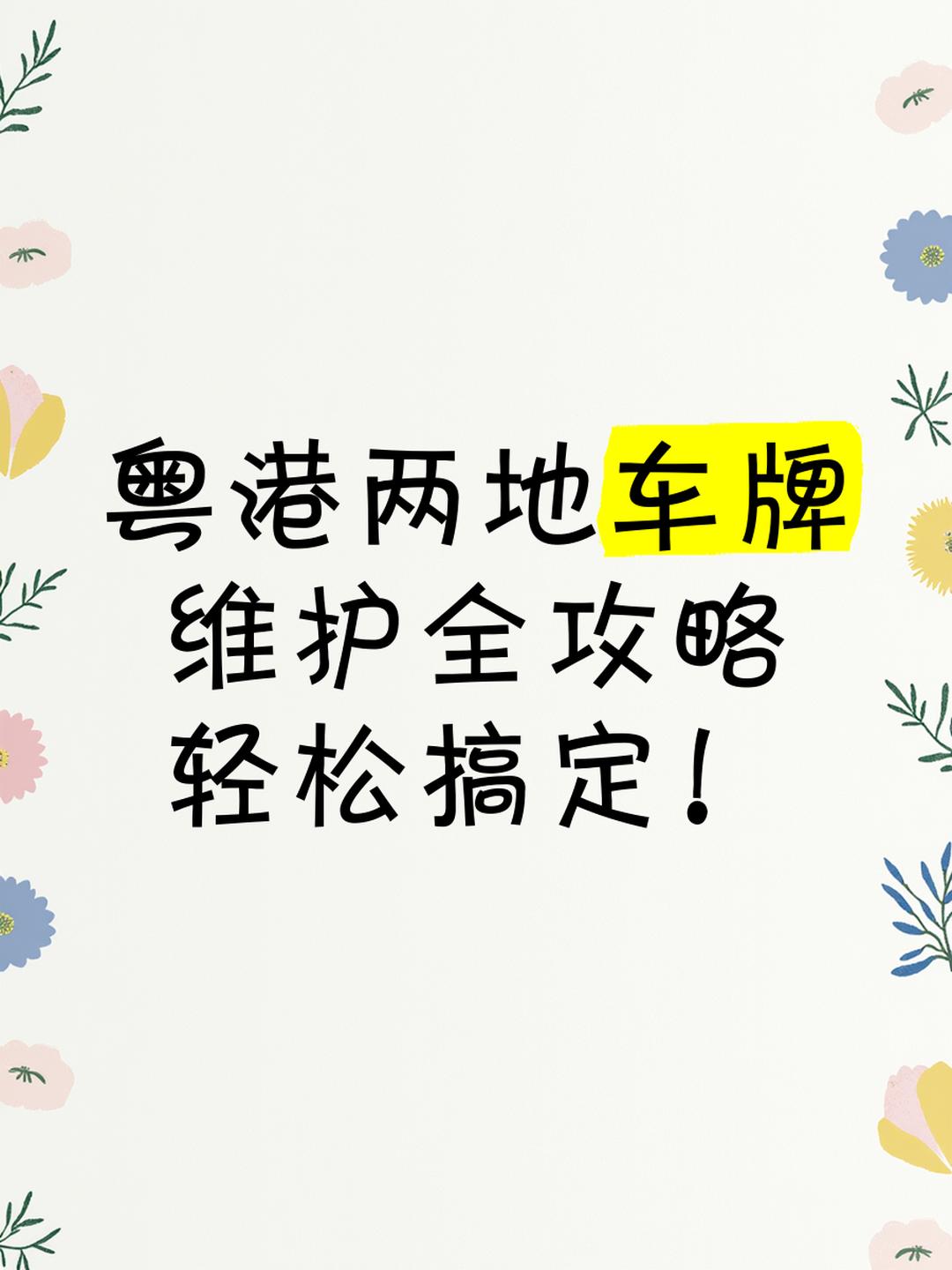 粤港两地车牌资讯:外观、使用范围、申领方式、限制,干货满满