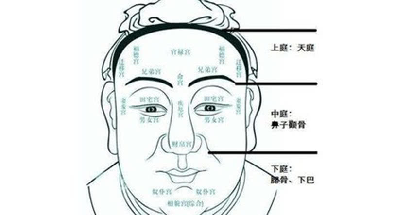 耳朵尖的面相运势优点22条两耳都比较尖:官运亨通