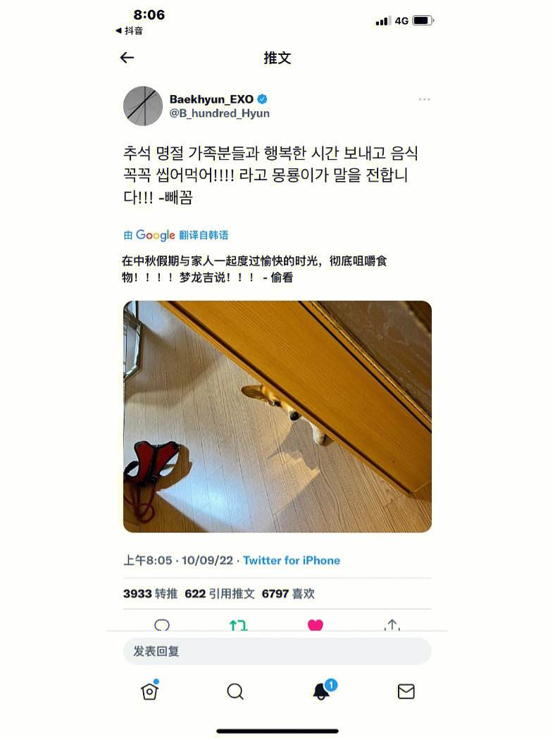 购买推特号小蓝鸟号国外id账号自助下单高质量账号视频