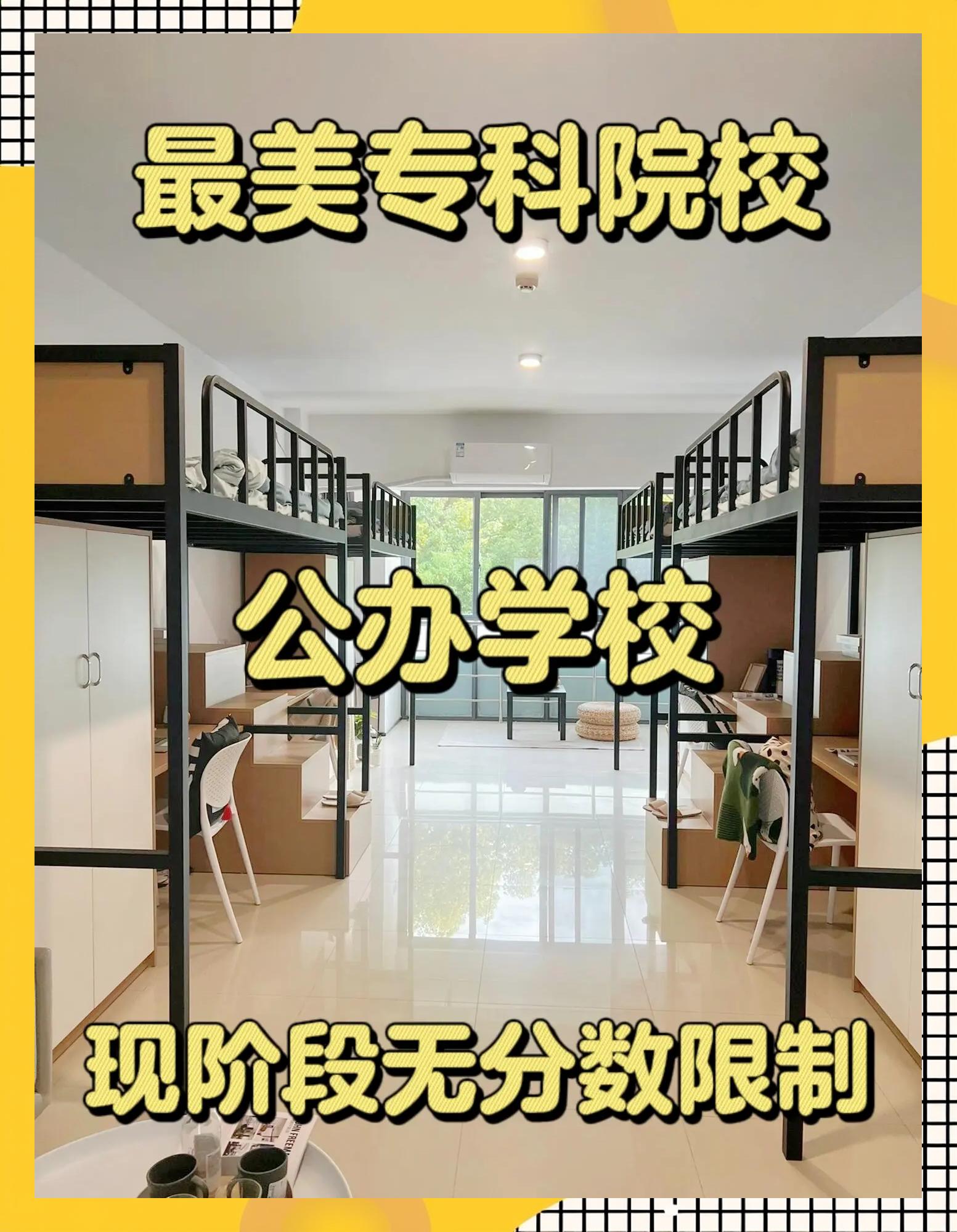 湛江寸金教育集团:大学专科层次教育,中专层次教育