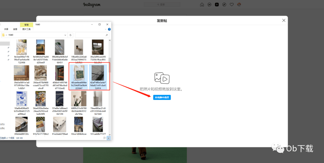 ins账号网页版(instagram网页版ins官网)