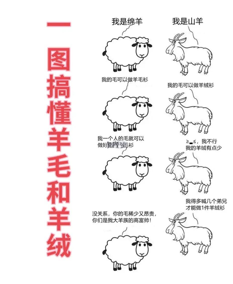 揭虹颖