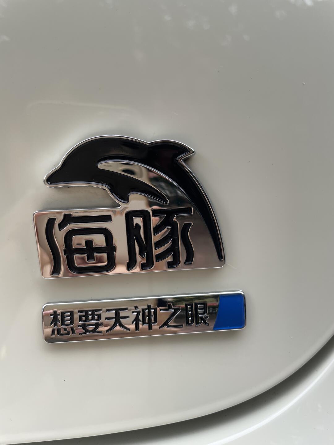 揭秘粤港澳比亚迪车牌号:独特标识与背后的故事