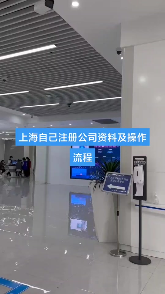 上海一网通办企业登记注册如何在线办理3-5个工作日视频