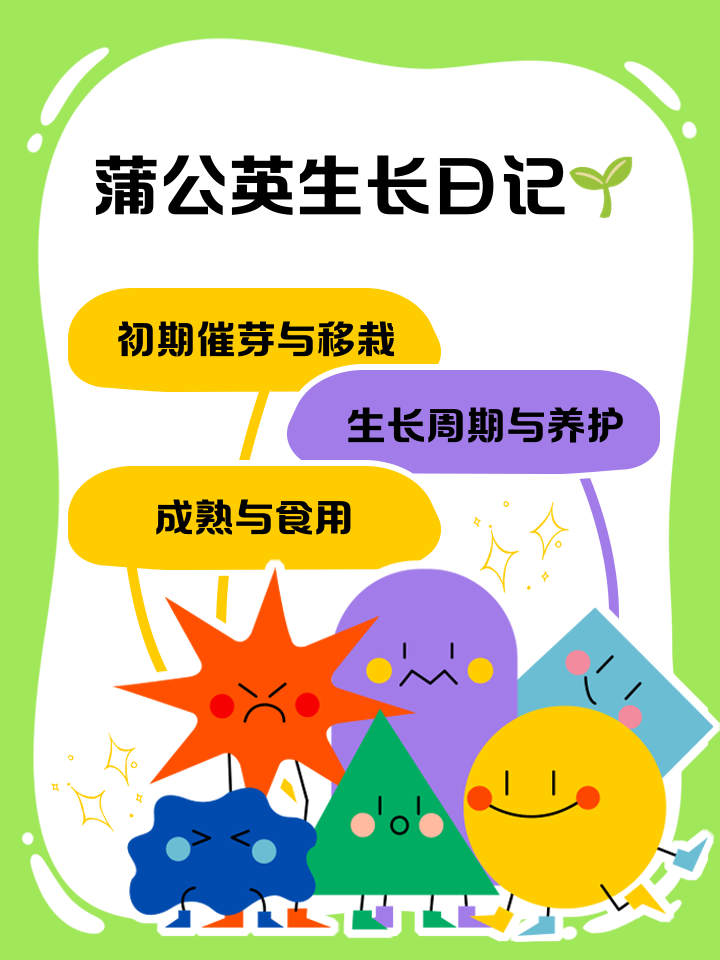 这里告诉你小红书蒲公英平台入口在哪?发布笔记精髓是什么?