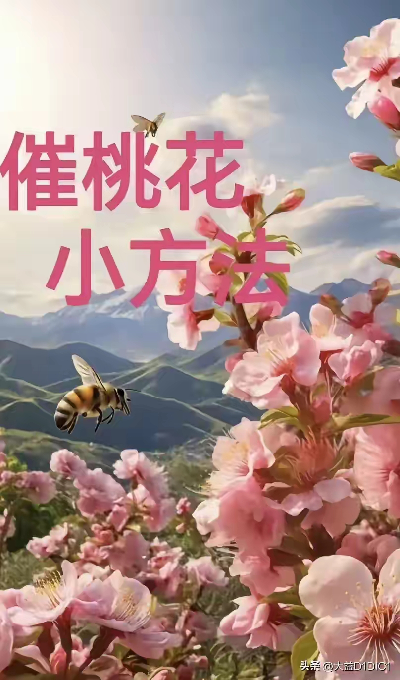 桃花运来的征兆怎么知道自己的桃花运什么时候才能来