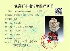 ICG证书查询方式ICG认证查询方法中鉴检测视频