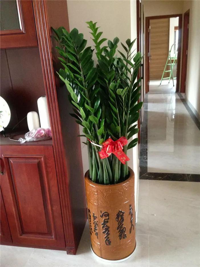有人知道关于家里放假花好吗客厅放假花风水好不好
