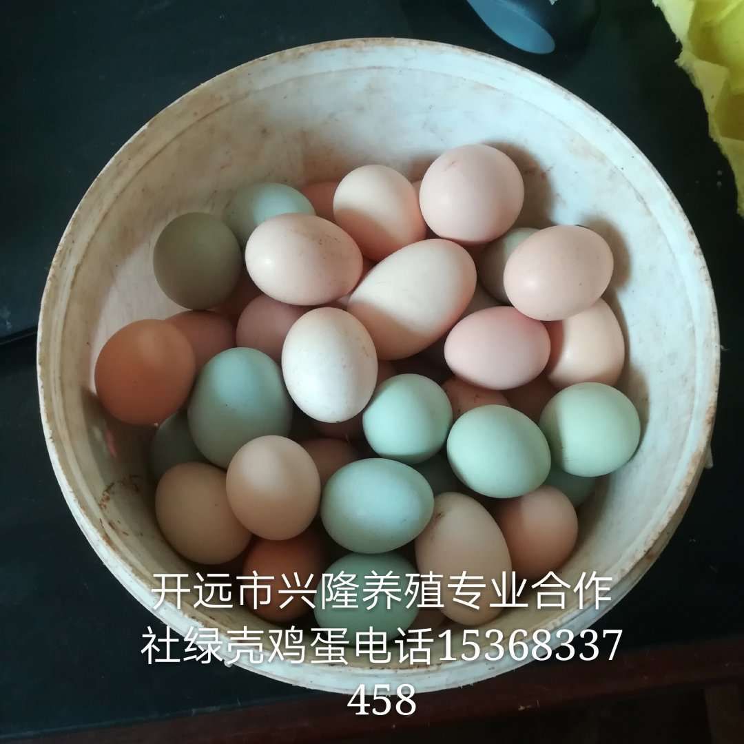 湖北鸡蛋批发/绿壳鸡蛋/土鸡蛋销售/品质好/价格低/货源足/