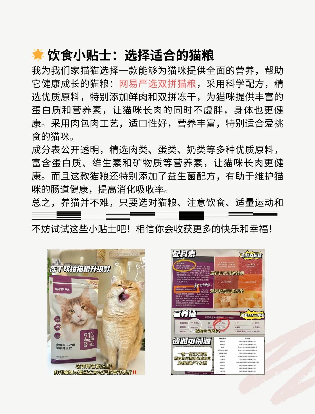 猫享是什么?怎么入驻猫享?这篇文章将会给你启发