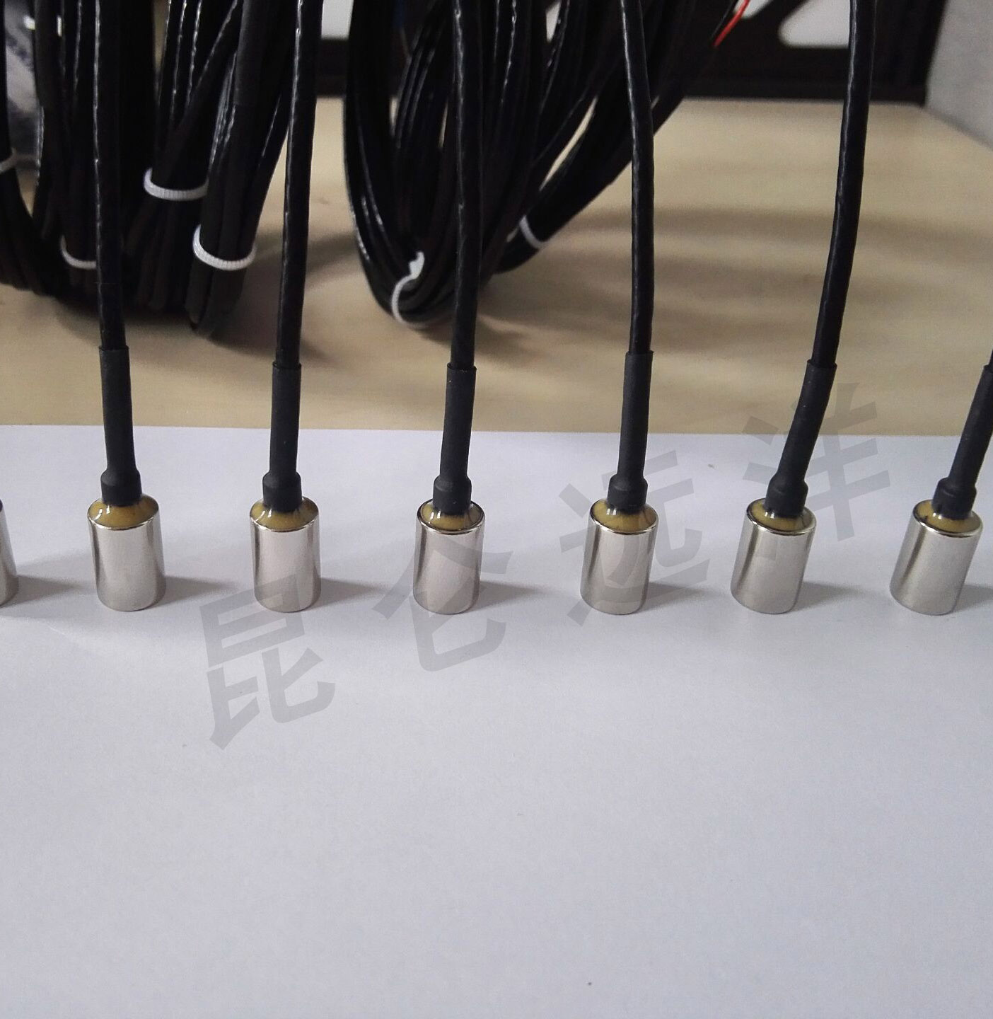 HeraeusPT100L2201/10B级薄膜铂电阻高精度±0.03℃